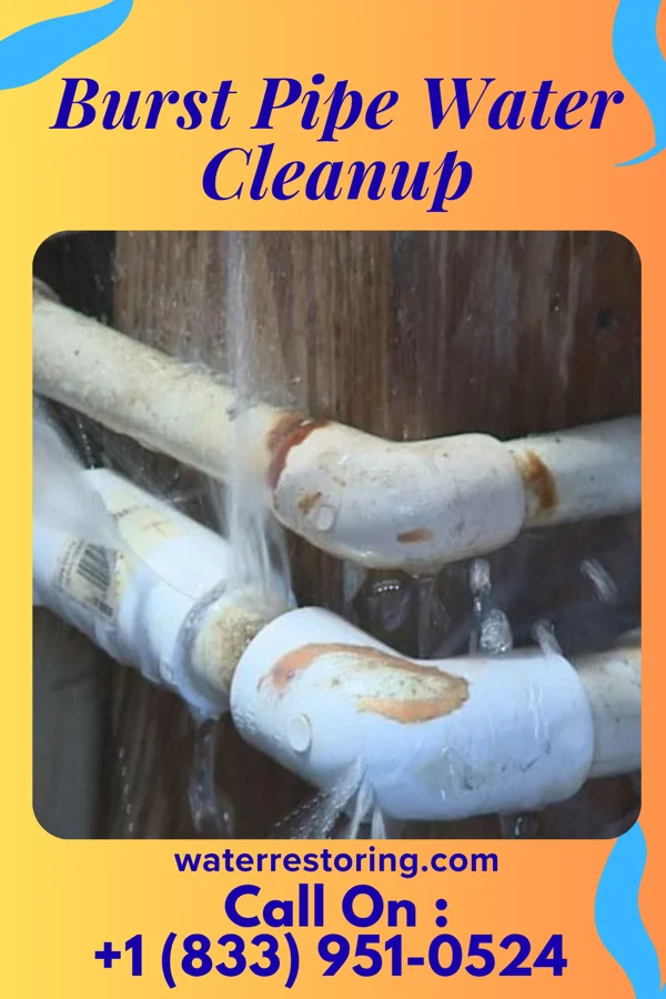 Burst Pipe Water Cleanup in Smithville, IL