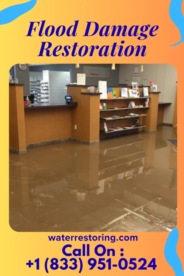 Flood Damage Restoration in Smithville, IL